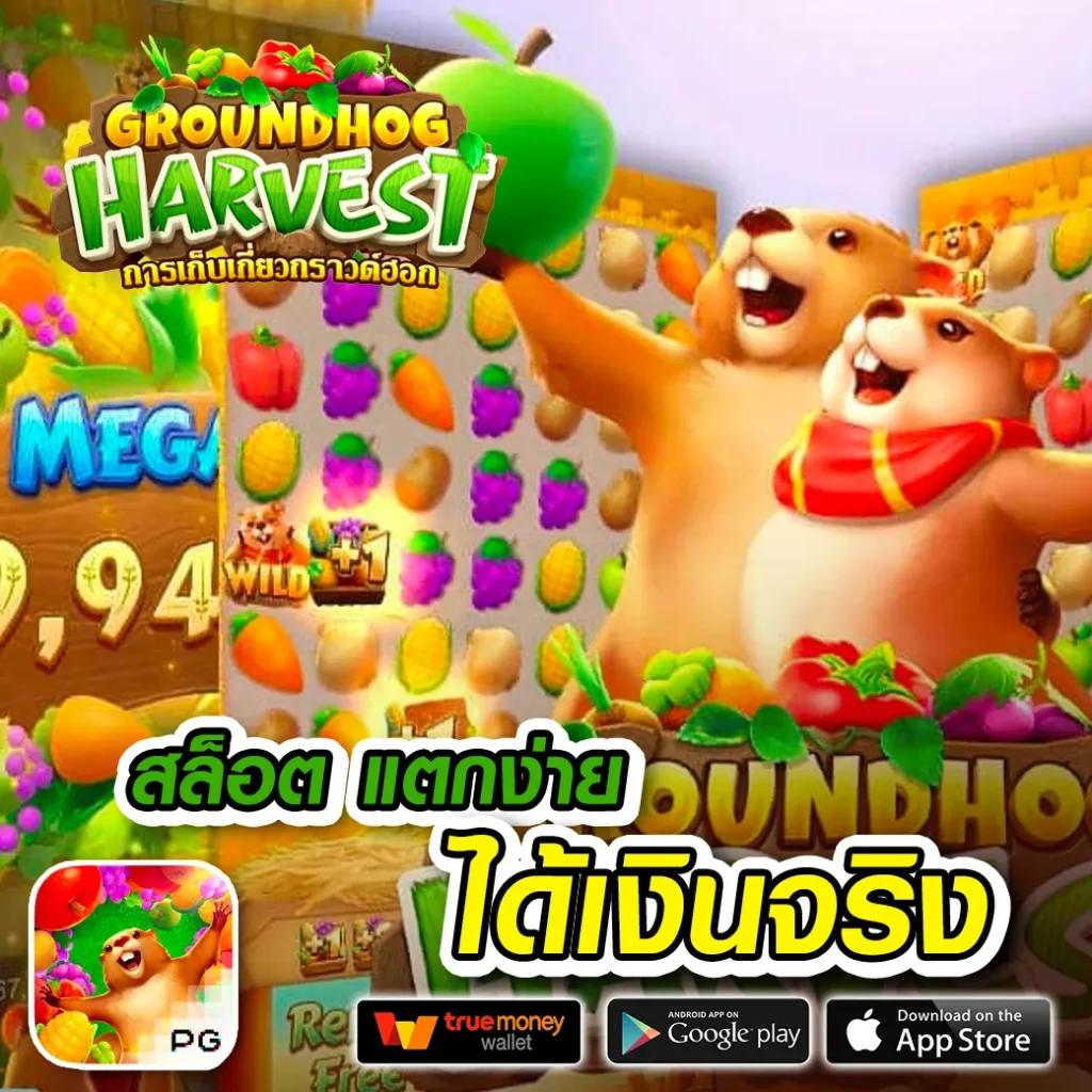 1688upx แดนเดิมพันสุดมันส์ด้วยเทคโนโลยีล่าสุดในไทย