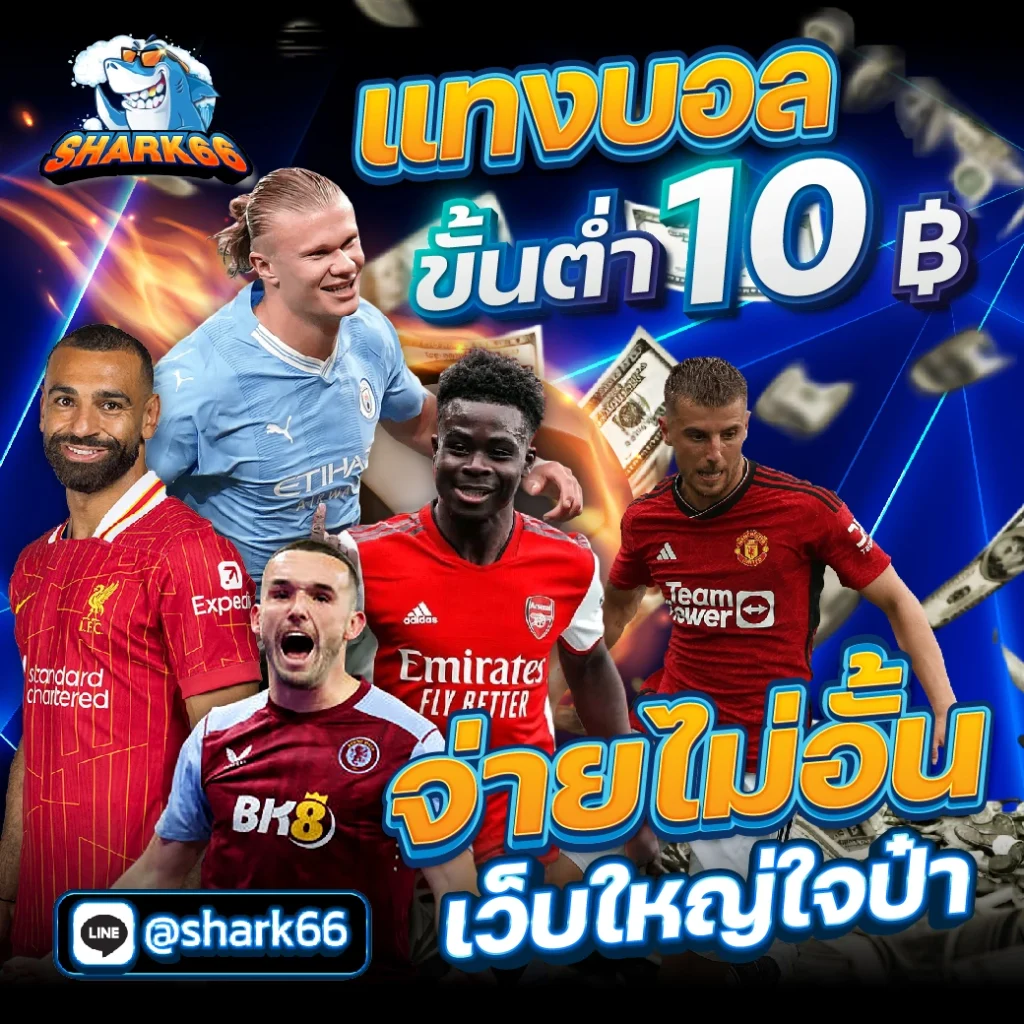 bm plus สล็อต เว็บตรง รวมเกมสล็อตมาแรงแห่งปี 2024
