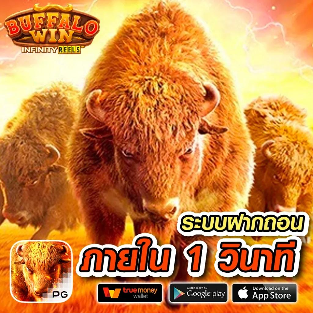 บอล วันนี้ เว็บเดิมพันปลอดภัย พร้อมระบบฝากถอนรวดเร็วสุดในไทย